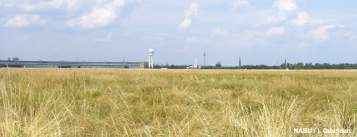 Der Tempelhofer Park entwickelt sich zu einem beliebten Naherholungsgebiet.