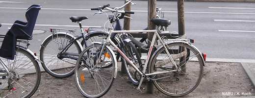Fahrräder auf Baumscheibe