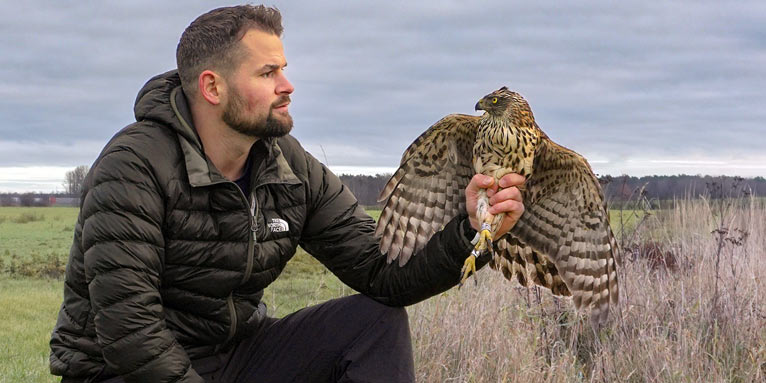 Marc Engler, Leiter der NABU Wildvogelstation, bei der Auswilderung des genesenen Habichts. - Foto: NABU Wildvogelstation