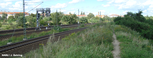 Neben der Bahnlinie S2 nach Pankow könnte ein neuer Grünzug entstehen.