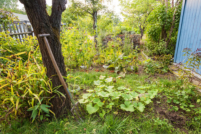 Gärtnern geht auch ohne Glyphosat wunderbar - Foto: NABU/Sebastian Hennigs