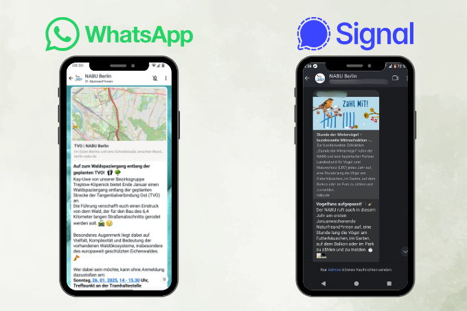 Zwei Handybildschirme, auf denen die Chatverläufe der NABU Berlin Kanaäle uaf WhatsApp und Signal zu sehen sind.