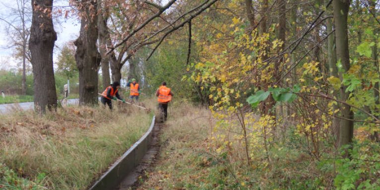 Bezirksgruppe Lichtenberg beim Pflegeeinsatz Amphibienschutzanlage im LSG Neue Krugwiesen - Foto: Jens Scharon