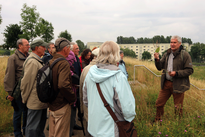 Exkursion im Wuhletal auf dem Kienberg - Foto: Jens Scharon