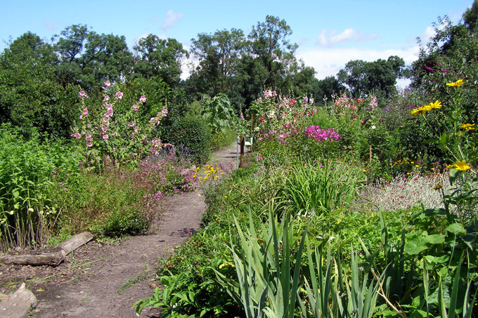 Der Naturgarten bietet Schmetterlingen einen geeigneten Lebensraum.