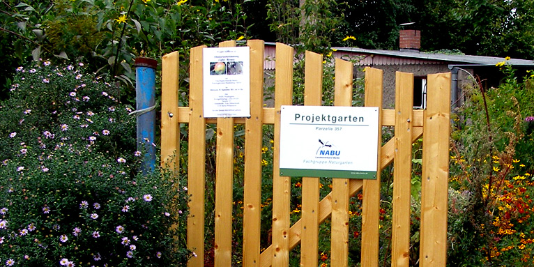 Projektgarten Pankow - Foto: Karla Paliege