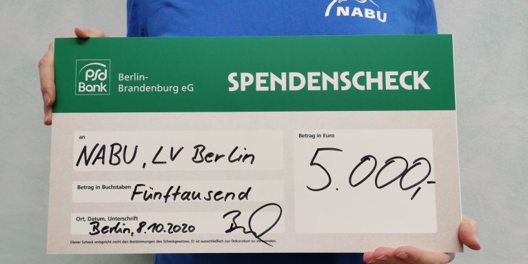 Die Storchenschmiede in Linum erhält einen großzügigen Spendencheck - Foto: Nina Baudis