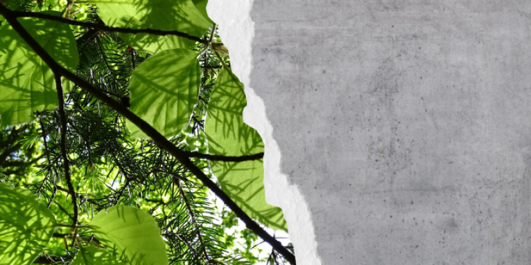 Collage Grün-Beton - Foto: Andrea Piening