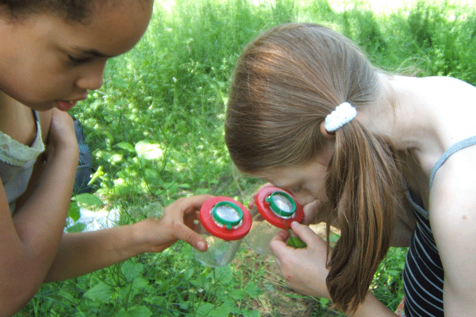 Kinder beim Insektenbetrachten - Foto: Bozena Madela