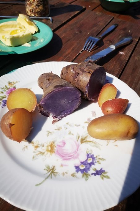 Das Essen: Natürlich vegetarisch - Foto: Annette Prien