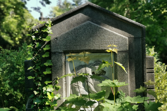 Ein mit Efeu bewachsener Gedenkstein, umgeben von grünen Büschen.