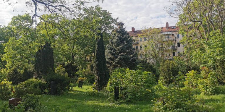 Vereinzelte Grabsteine auf einer grünen Wiese zwischen Büschen und Bäumen. Im Hintergrund sind Wohnhäuser zu sehen.