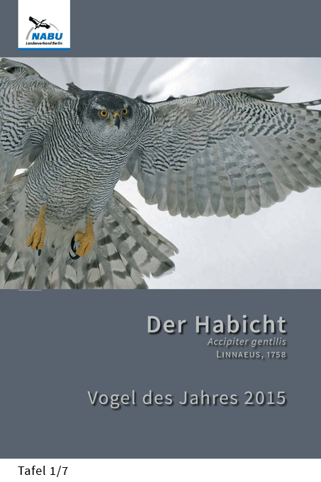 Ausstellung Habicht<br>Gestaltung: Jutta Gehring