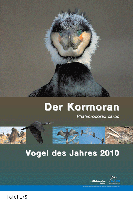 Kormoran 2010 Tafel 3
