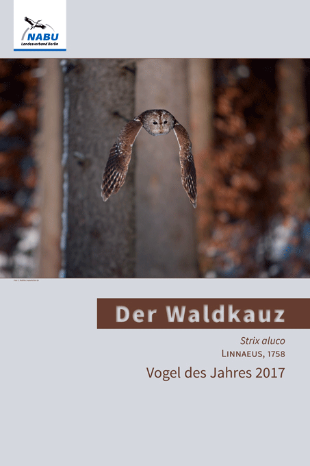 Der Waldkauz<br>Gestaltung: Jutta Gehring