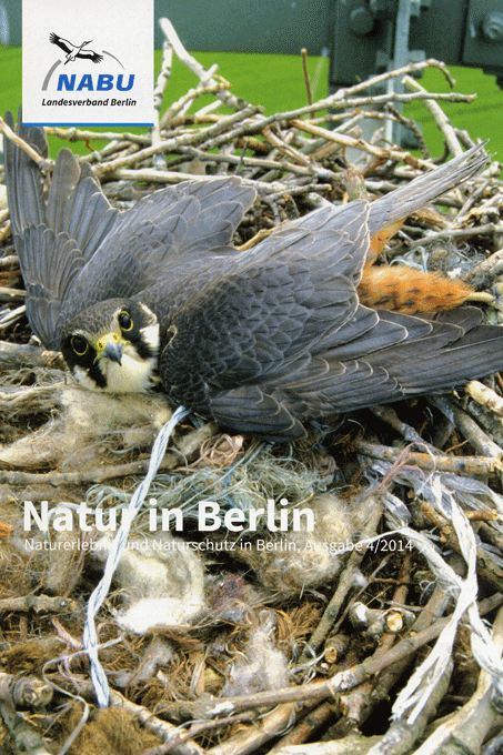 Natur in Berlin 4/14