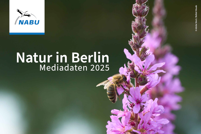 Mediadaten Natur in Berlin 2025