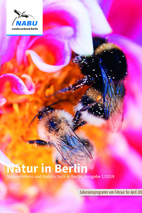 Natur In Berlin 1 2019 Hoch