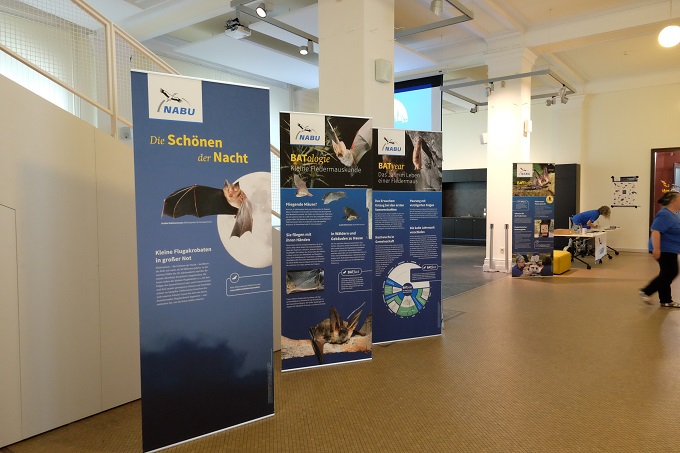 Ausstellung auf der BatNight 2023 im Museum für Naturkunde - Foto: K. Schötschel