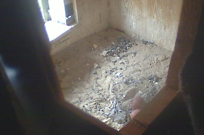 Zwei Eier liegen nun im Kasten - Foto: Turmfalkenkamera