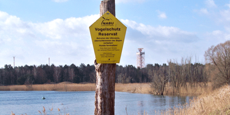 Vogelschutzreservat Flughafensee Tegel - Foto: Wulf Geißler