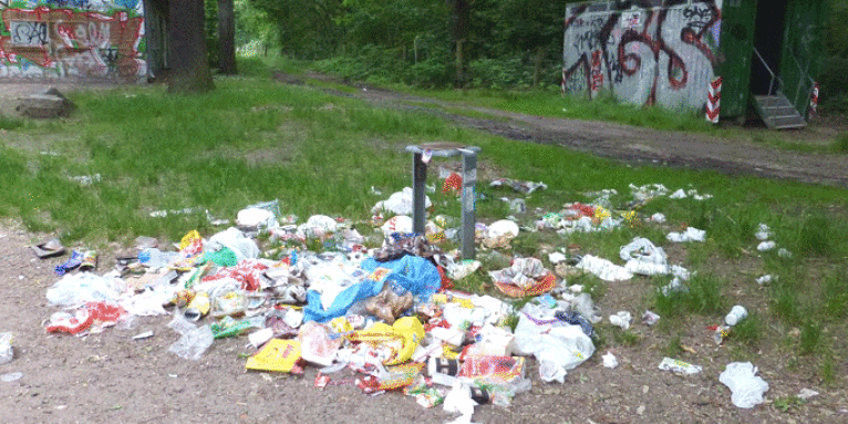 Müll am Flughafensee - Foto: Frank Sieste