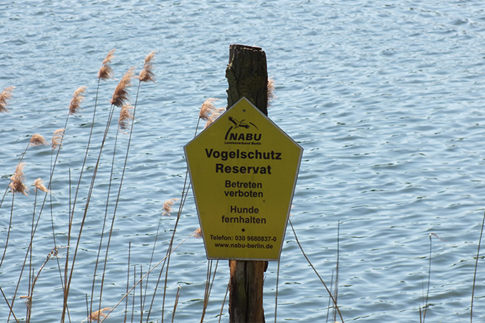 Vogelschutzreservat Flughafensee - Foto: Demian Hari
