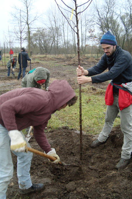 Apfelbaumpflanzung 2010 - Foto: Jutta Gehring