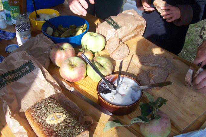 Apfelkuchen und Schmalzstullen zur Stärkung der Erntehelfer. - Foto: Wulf Geißler