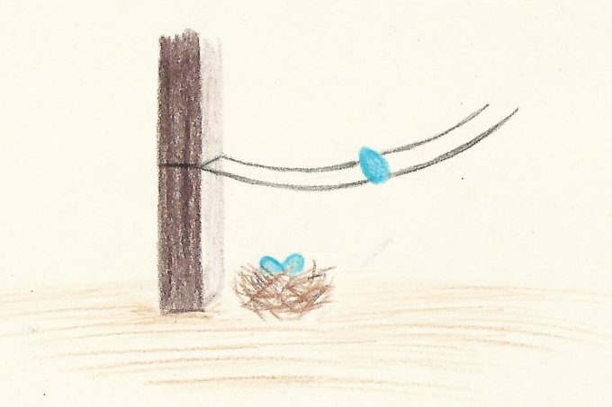 So kommen die Eier ins Nest - Zeichnung: Lisa Hörig