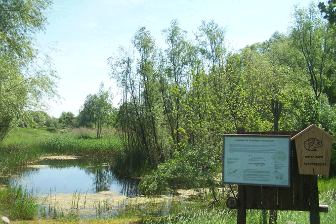 Amphibienteich im Freizeitpark.