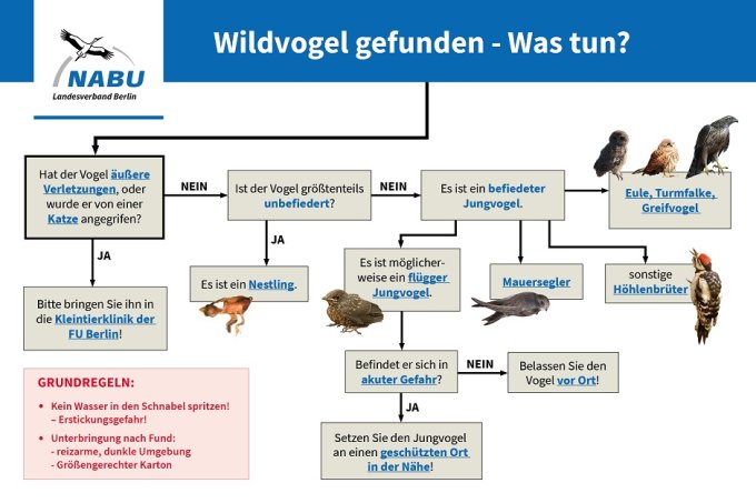 Nutzen Sie unsere Infografik und klicken Sie auf die blau unterstrichenen Begriffe für mehr Informationen! Bitte im Querformat auf dem Smartphone nutzen - Danke!