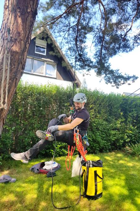 Marc Engler erklimmt den Baum. Das Nest befindet sich in 17 Meter Höhe. - Foto: Rebekka Sens