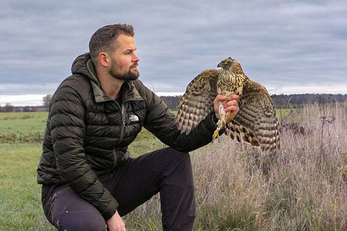 Marc Engler, Leiter der NABU Wildvogelstation, bei der Auswilderung des genesenen Habichts. - Foto: NABU Wildvogelstation