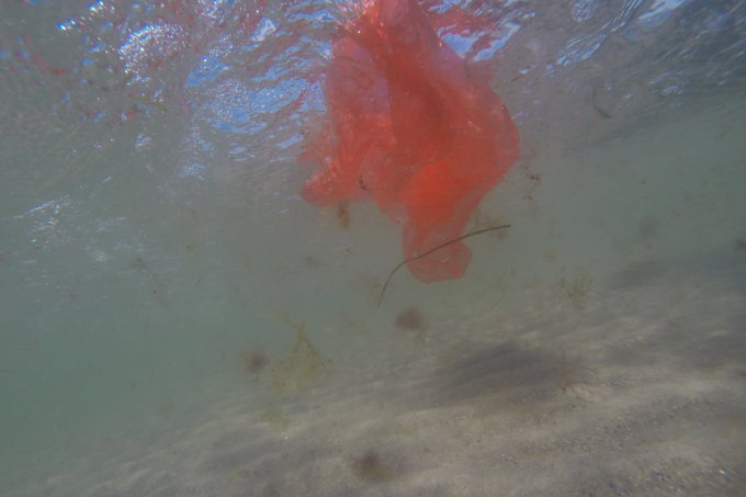 Turnschuhe aus dem Plastikmüll der Meere - gute Idee, aber wirklich nachhaltig? - Foto: NABU/Melanie Konrad