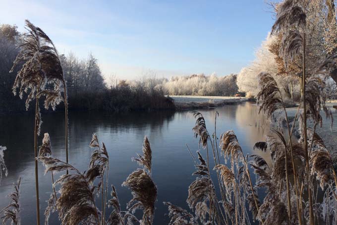 Ein sonniger Wintertag lädt zum Spazierengehen ein. - Foto: Birgit Königs